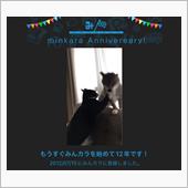 祝・みんカラ歴12年！