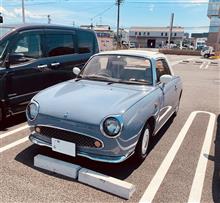 きれいなフィガロ 