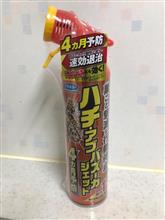 足長蜂の巣駆除