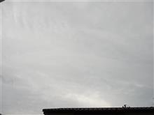 ７月１０日　お出掛けな折り返しの水曜日、おはよ～♪
