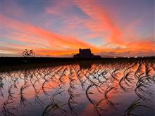 燃えるような夕焼けを見ながら帰宅したらリビングが灼熱だった件
