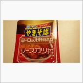 ソース活