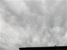 ７月１１日　次第に天気が回復しそうな木曜日、おはよ～♪