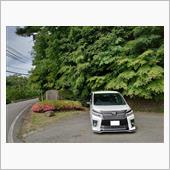 山&#215;VOXY　part4