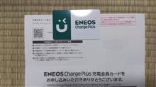 届きました