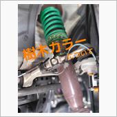 車高調の樹木カラー、実は…