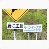 5月の北海道巡り⑦　JR根室 ...