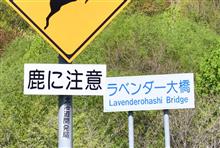 5月の北海道巡り⑦ JR根室本線 JR富良野線 (2024 .5) 5月の北海道巡り⑦ JR根室本線 JR富良野線 (2024 .5)