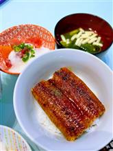 今夜のおうちご飯は、静岡産うなぎで作ったミニうな丼とお刺身にしました