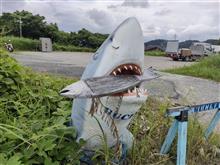 昼の散歩