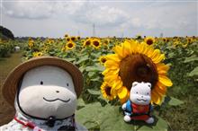 夏を楽しむ