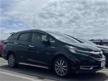 2代目クロエコ号の納車から260週間目　５ナンバーはイイよ
