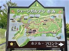 鹿かつ定食（4枚）大盛りとみそアイス　シェーンガルテン おみ