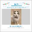 みんカラ歴12年…