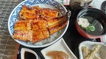 今年も香ばしい鰻を・・・オーシャン