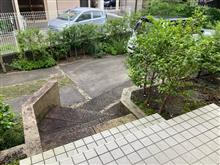 出撃致します(・∀・)ノ