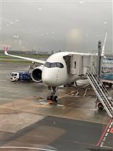 急遽の旅へ 急遽の旅へ