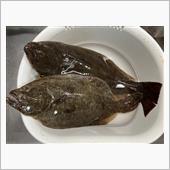 2024わらしべ長者の釣り・ ...