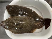 2024わらしべ長者の釣り・・(^^♪ 2024わらしべ長者の釣り・・(^^♪