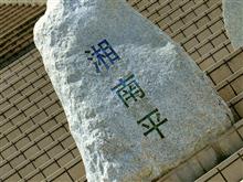 猛暑の中、結局お出かけ(^-^;
