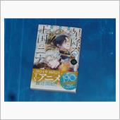 星降る王国のニナ 13巻