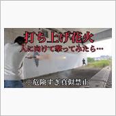 大人版打ち上げ花火を空じゃな ...