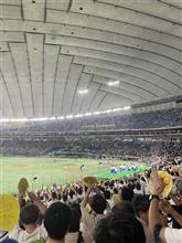 東京1年と256日目