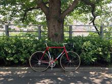 自転車散歩（MERCKX）