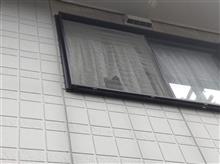 出掛けようと思ったら、２階から視線・・・タケトラくんだわ。