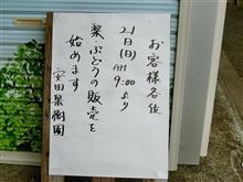 今日からオープンなので