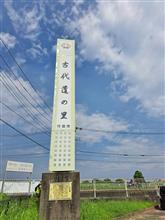 古代蓮の里に行ってきた