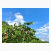 【 夏バテ 】