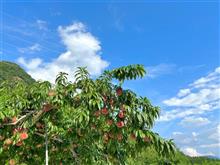 【 夏バテ 】