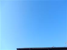 ７月２２日　猛暑日になりそうな月曜日、おはよ～♪