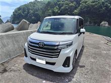 ルーミーで海釣りへ