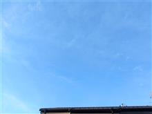 ７月２３日　暑さが続く火曜日、おはよ～♪