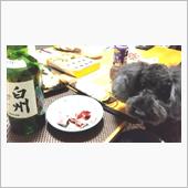 白州で一杯〰️♪
