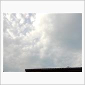 ７月２４日　スッキリしない天 ...