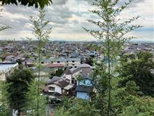 雨が降る前に