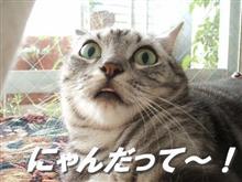 困ったもンだ…