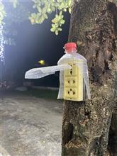 イメージの払拭