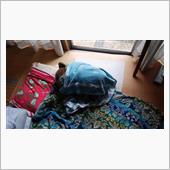 日中は寝てる怠け熊･････ ...