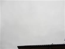 ７月２７日　これからＹＧへ帰る土曜日、おはよ～♪