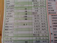 約20年振りに肝臓が正常値に