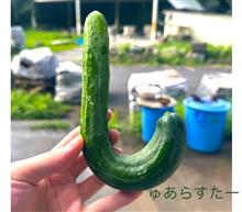 シュアラスター(ΦωΦ)