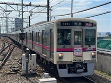 シティ・サーキット東京ベイオークションに行ってきました。
