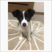ウメさん満1歳！