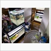 マーフィード 観賞魚用浄水器 ...