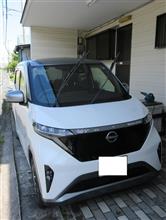 36℃の中サクラを洗車 36℃の中サクラを洗車