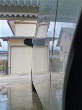 洗車して引渡し 苔こけ車